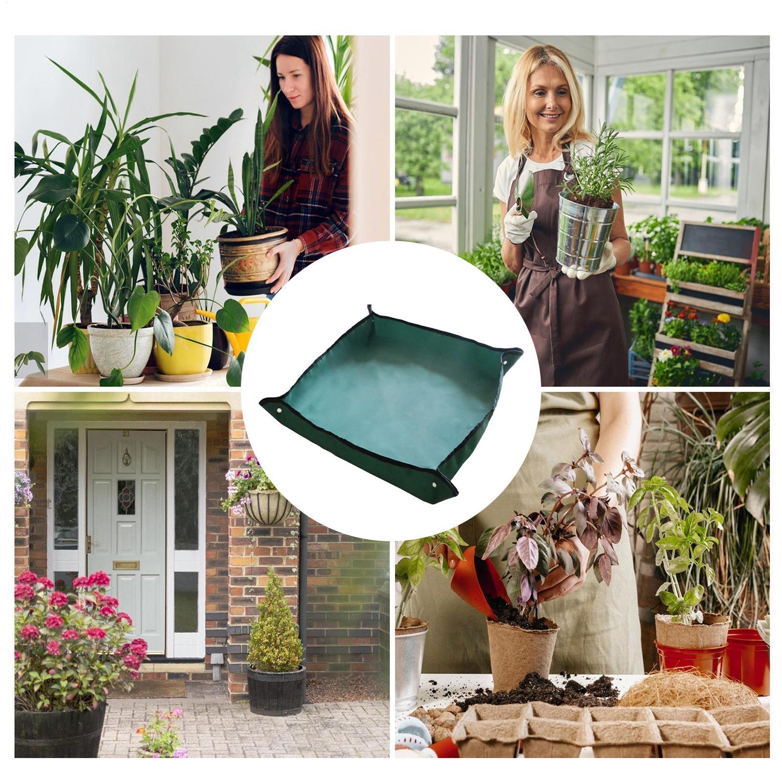ガーデン植え替えマット 29.5x43.3インチ 大型 厚手 - Bonsai Repotting Mat のレビューと価格