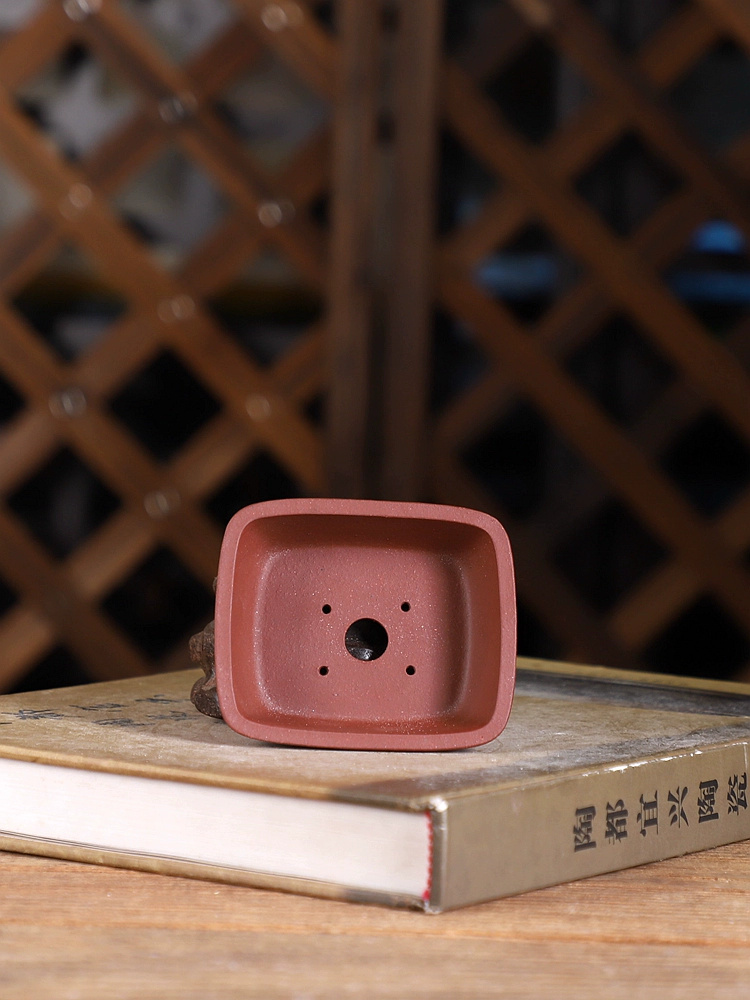 紫砂丸角長方形盆栽鉢、小さな植物、伝統的な中国の庭の装飾 - Bonsai Garden With Sand のレビューと価格