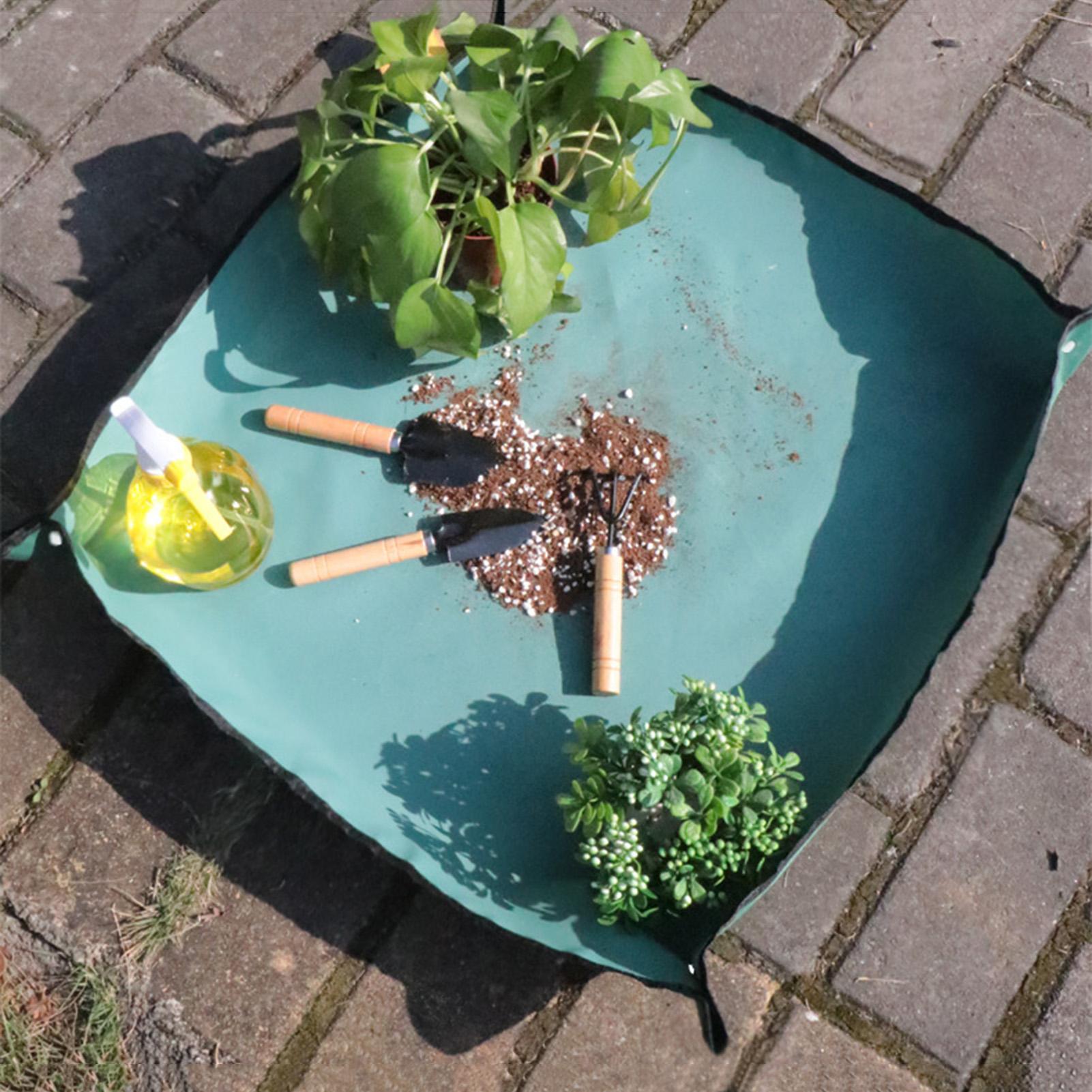 ガーデン植え替えマット、29.5x43.3インチの厚みのある - Bonsai Repotting Mat のレビューと価格