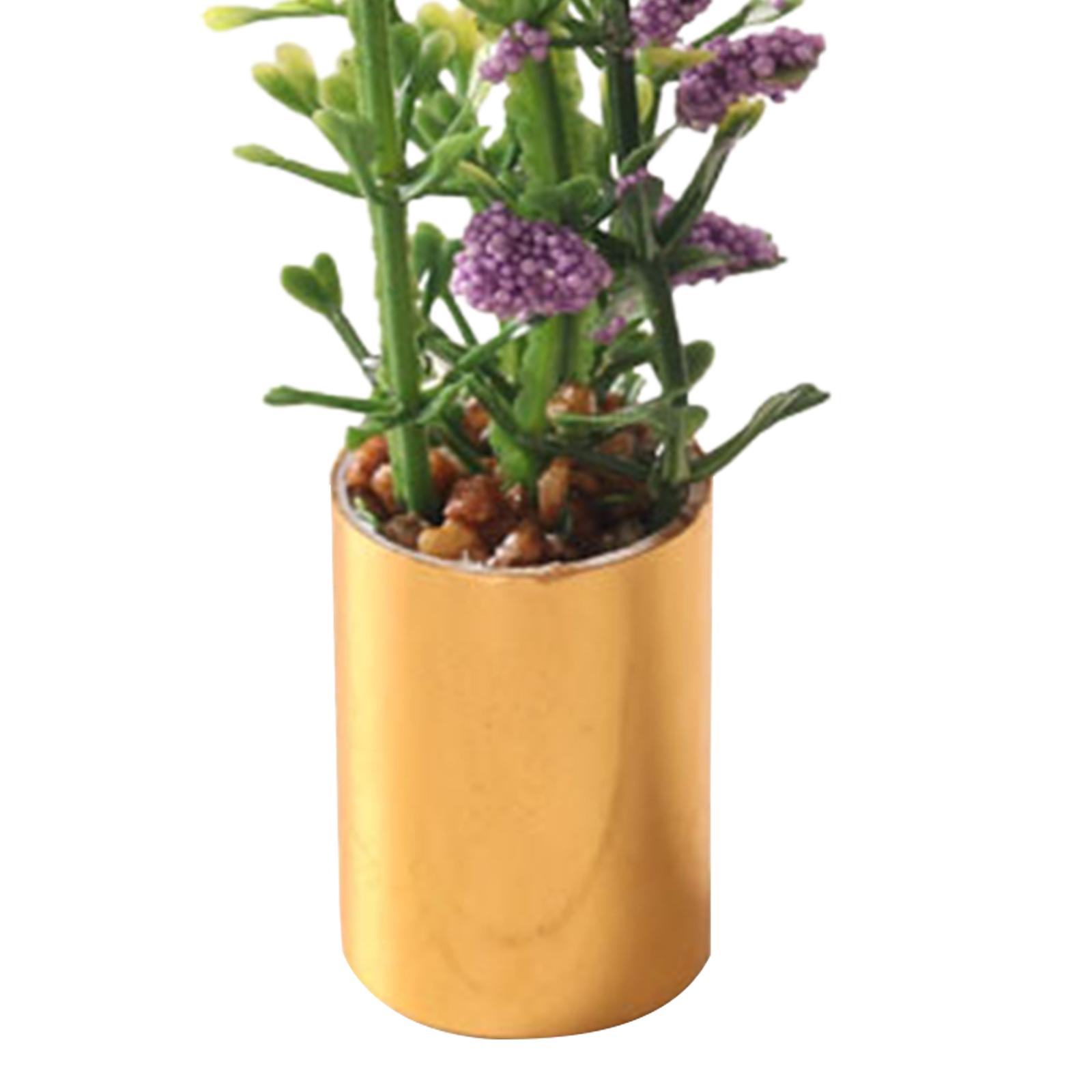 ミニチュア鉢植え植物オーナメント 1/12 スケール人工盆栽 - Bonsai Garden Display のレビューと価格