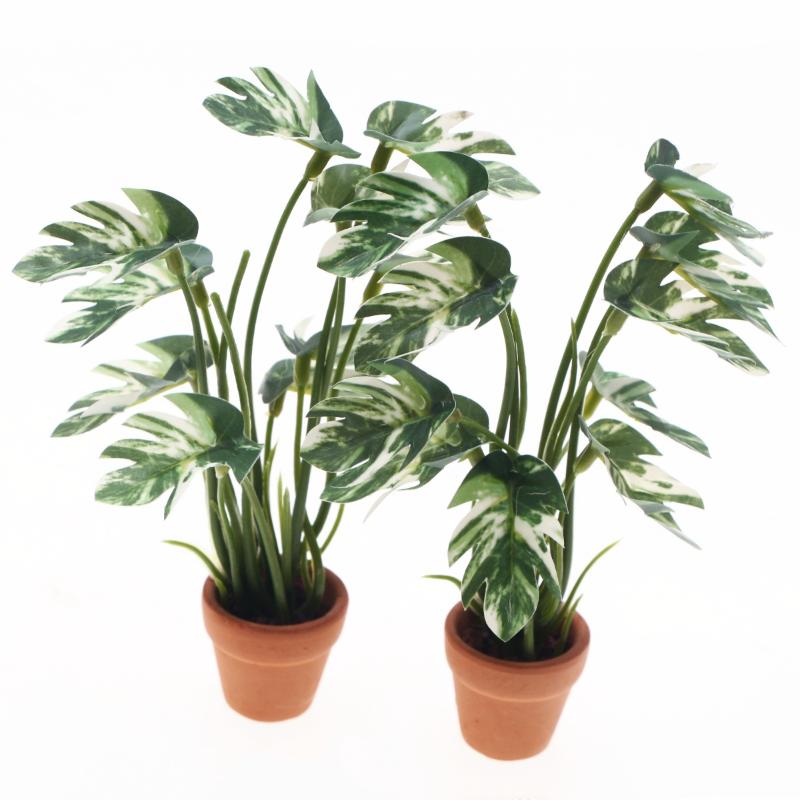 新品。1個入り 1/12 ドールハウス シミュレーション モ - Bonsai Garden Ornaments のレビューと価格