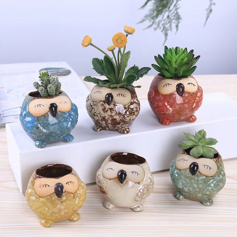 ミニセラミックフクロウ多肉植物プランターかわいい漫画サボテン - Bonsai Garden Wall のレビューと価格